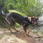 Donner, heute Jeff und Extrem Camper