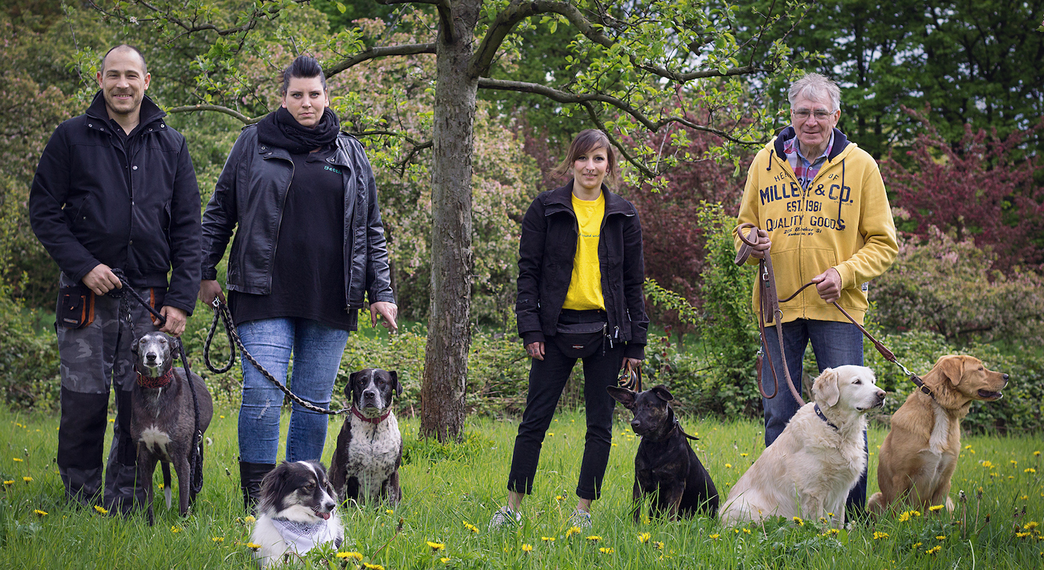 Tierschutz Hund und Leben Team